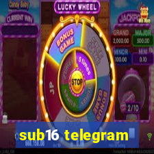 sub16 telegram